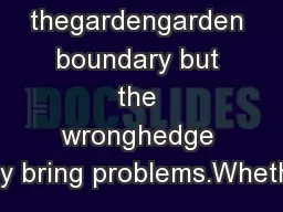 thegardengarden boundary but the wronghedge may bring problems.Whether