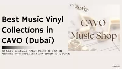 Best Vinyl Collection in Dubai, UAE