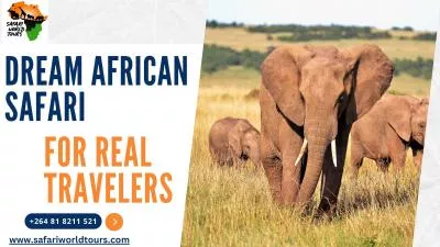 Dream African Safari for Real Travelers