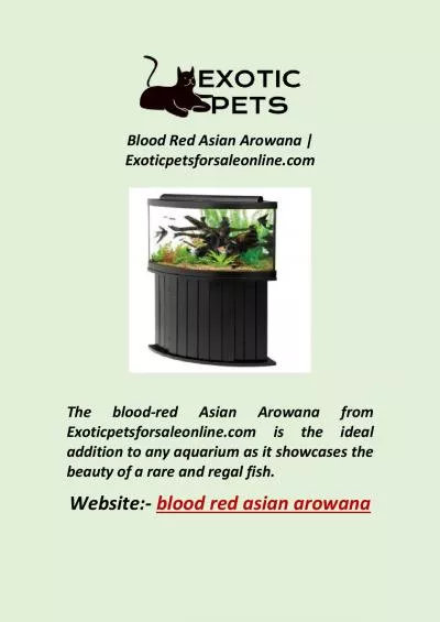 Blood Red Asian Arowana | Exoticpetsforsaleonline.com