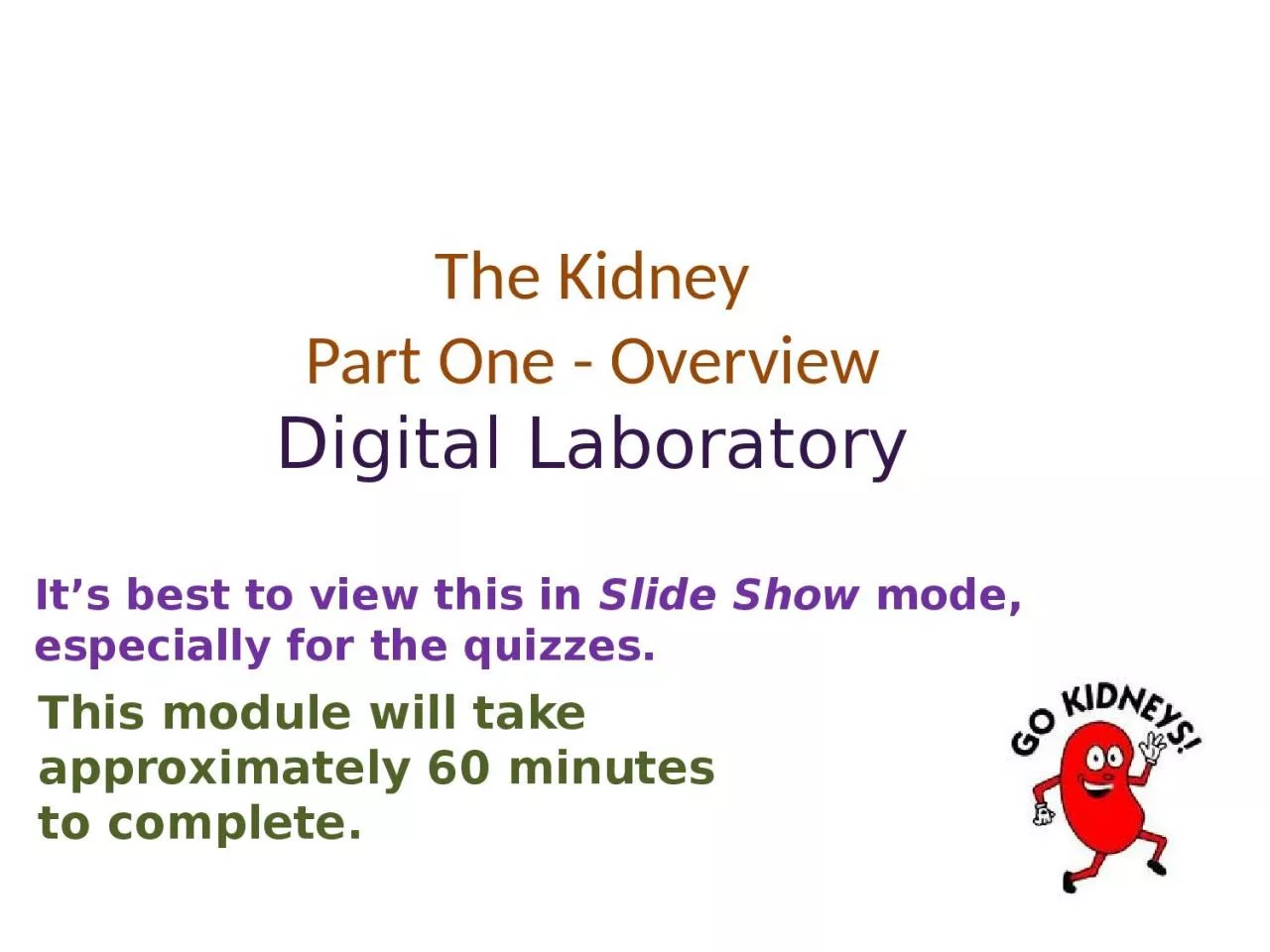 The Kidney Part One - Overview