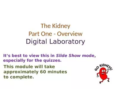 The Kidney Part One - Overview