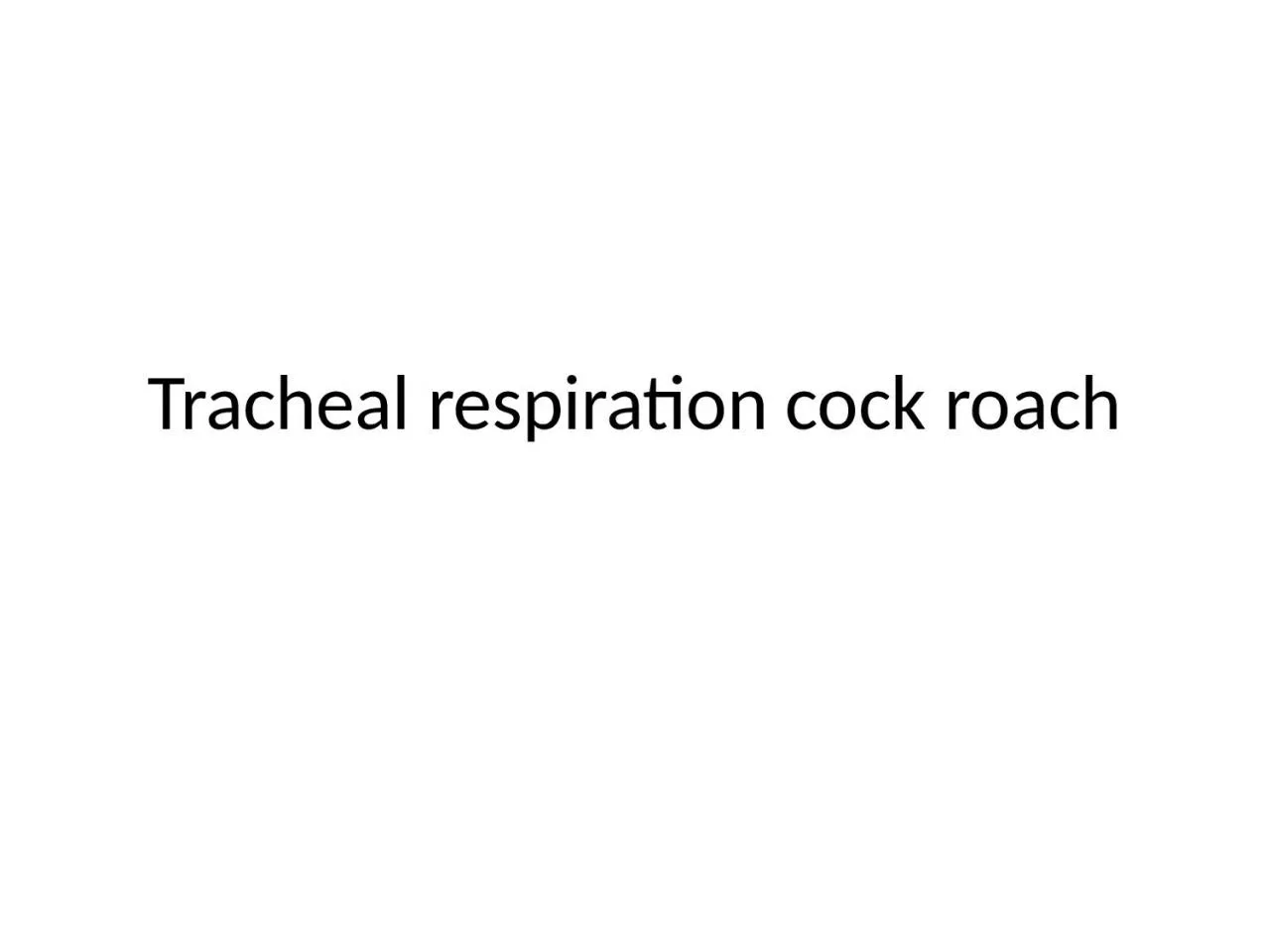 Tracheal respiration cock roach