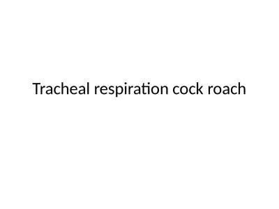 Tracheal respiration cock roach