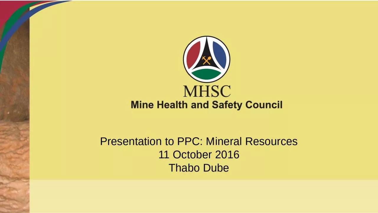 PPT-Presentation to PPC: Mineral Resources