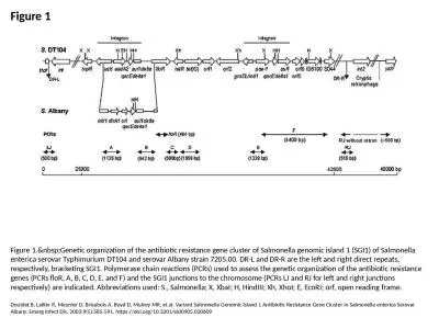 Figure 1 Figure 1.&nbsp;Genetic organization of the antibiotic resistance gene cluster
