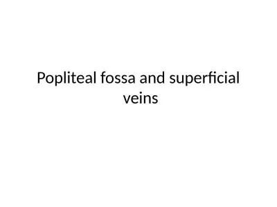 Popliteal fossa and superficial veins