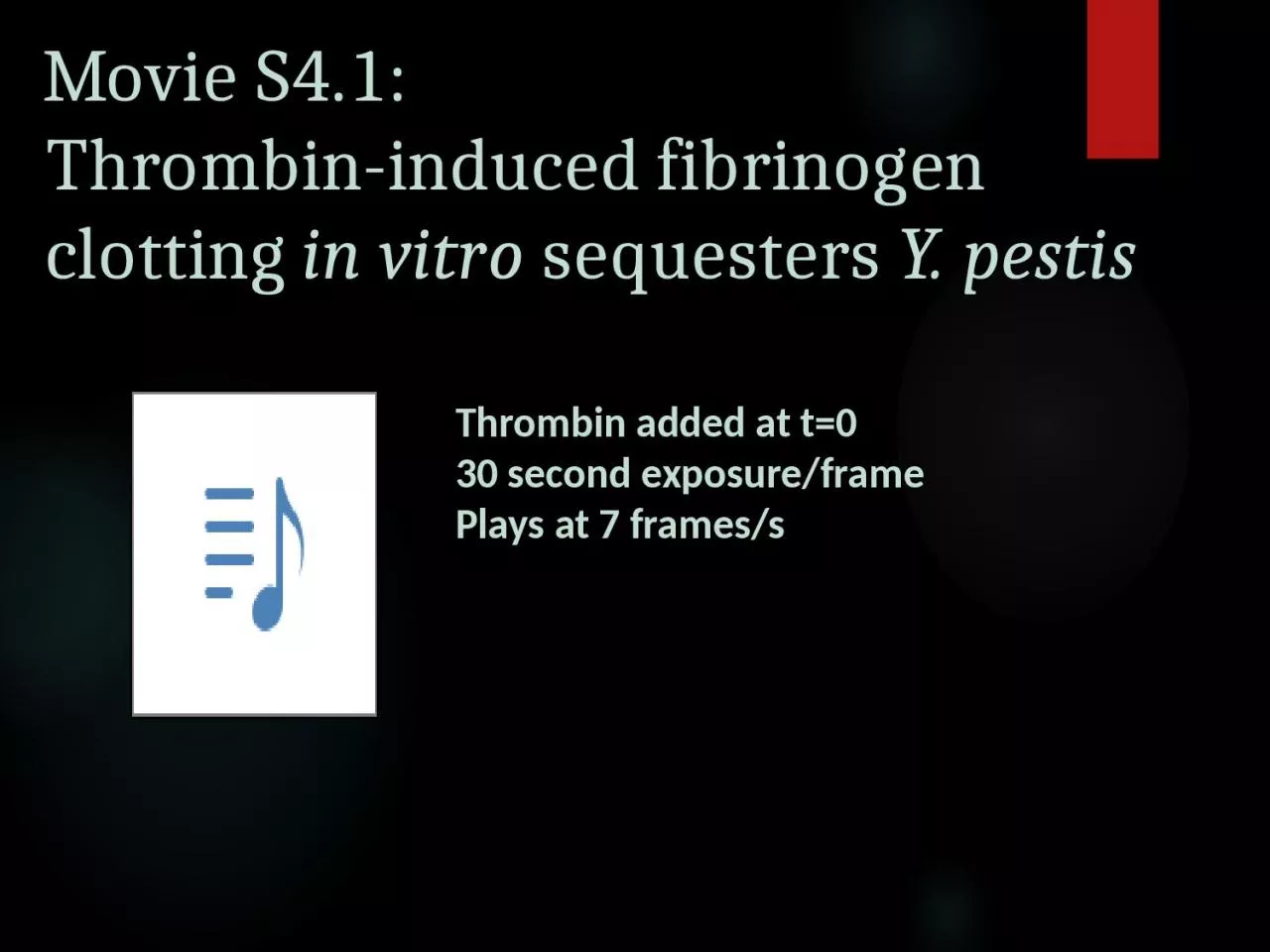 PPT-Movie S4.1: Thrombin -induced fibrinogen clotting