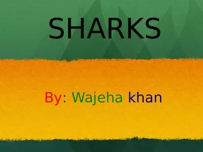 SHARKS 	 By :  Wajeha