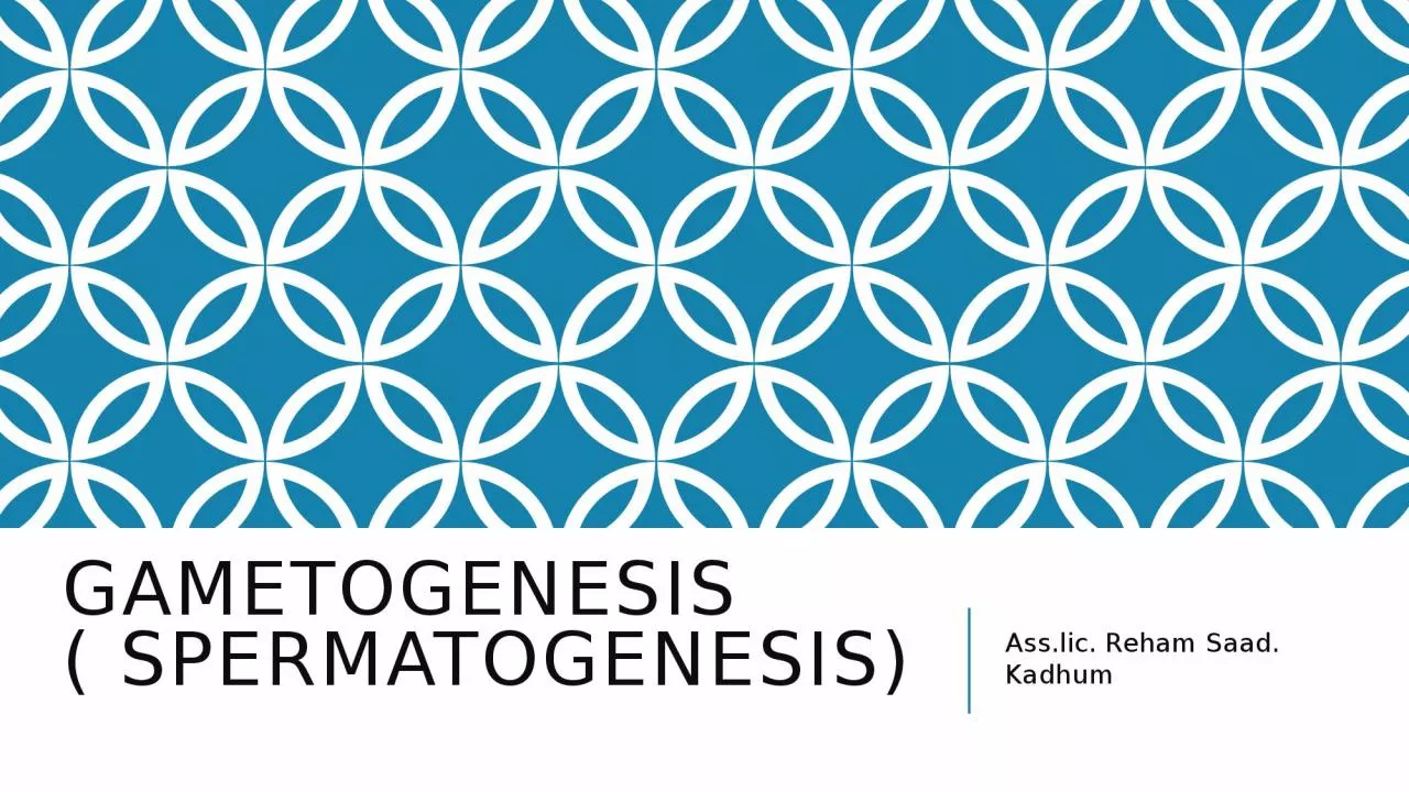 PPT-Gametogenesis ( spermatogenesis)