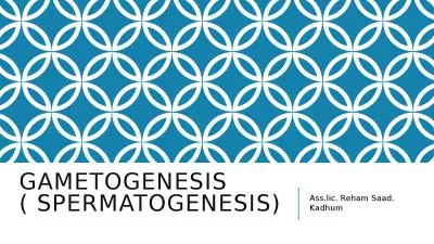 Gametogenesis ( spermatogenesis)