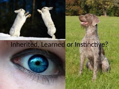 Inherited, Learned or Instinctive?