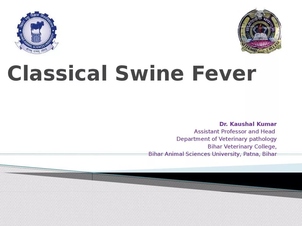 PPT-Classical Swine Fever Dr.