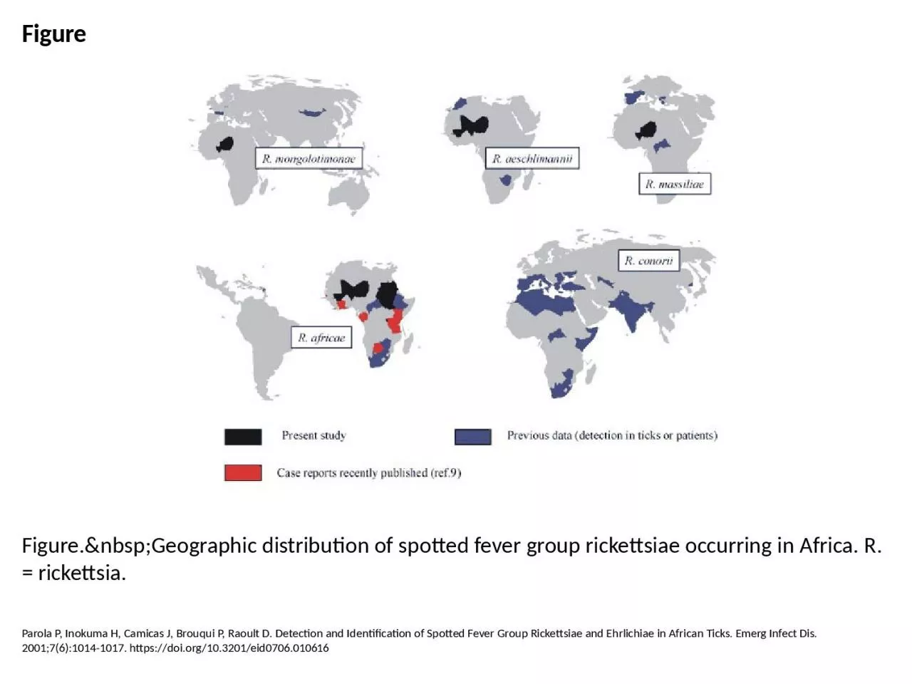 PPT-Figure Figure.&nbsp;Geographic distribution of spotted fever group rickettsiae occurring