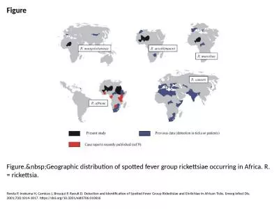 Figure Figure.&nbsp;Geographic distribution of spotted fever group rickettsiae occurring in Afr