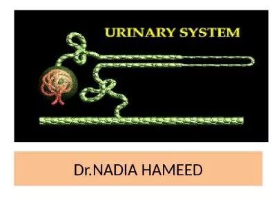 Dr.NADIA  HAMEED OBSTRUCTIVE