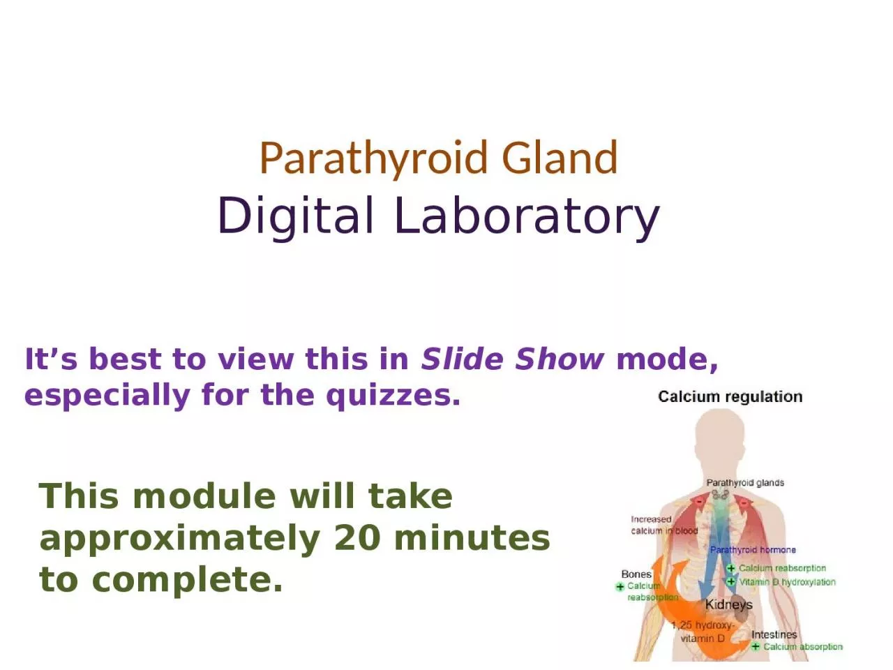 PPT-Parathyroid Gland Digital Laboratory