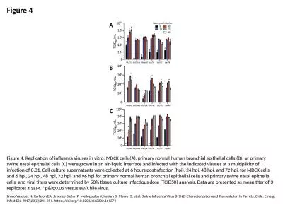 Figure 4 Figure 4. Replication of influenza viruses in vitro. MDCK cells (A), primary normal human