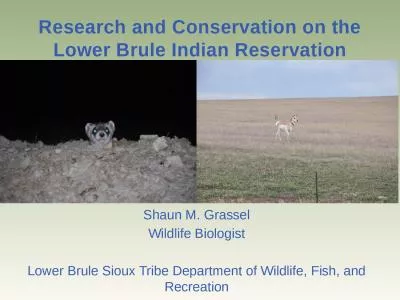 Research and Conservation on the Lower Brule Indian Reservation