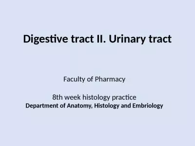 Digestive tract II. Urinary tract