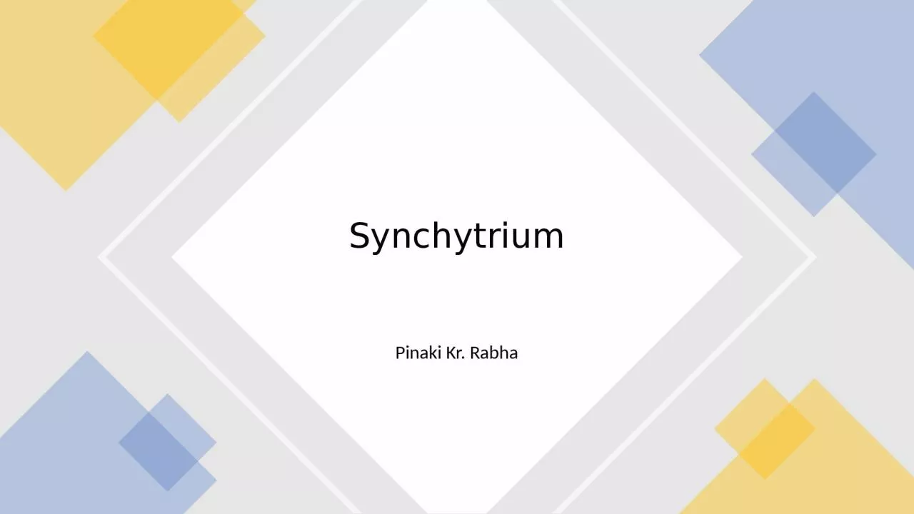 PPT-Pinaki Kr. Rabha Synchytrium