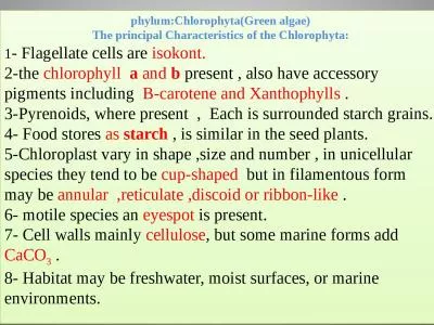 phylum:Chlorophyta (Green