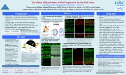 The effects of illumination of VNUT expression in