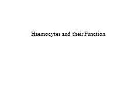 PPT-Haemocytes and their Function