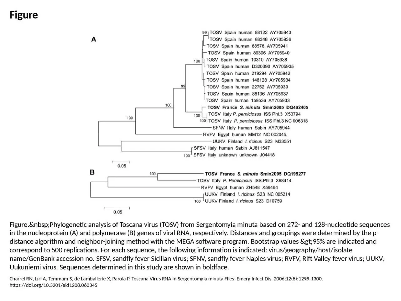 PPT-Figure Figure.&nbsp;Phylogenetic analysis of Toscana virus (TOSV) from Sergentomyia