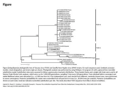 Figure Figure.&nbsp;Bayesian phylogenetic tree of Toscana virus (TOSV) and Sandfly fever Naples