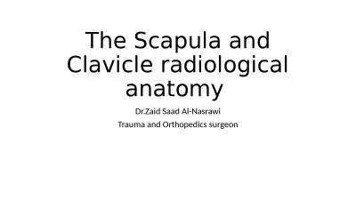 The  Scapula and Clavicle