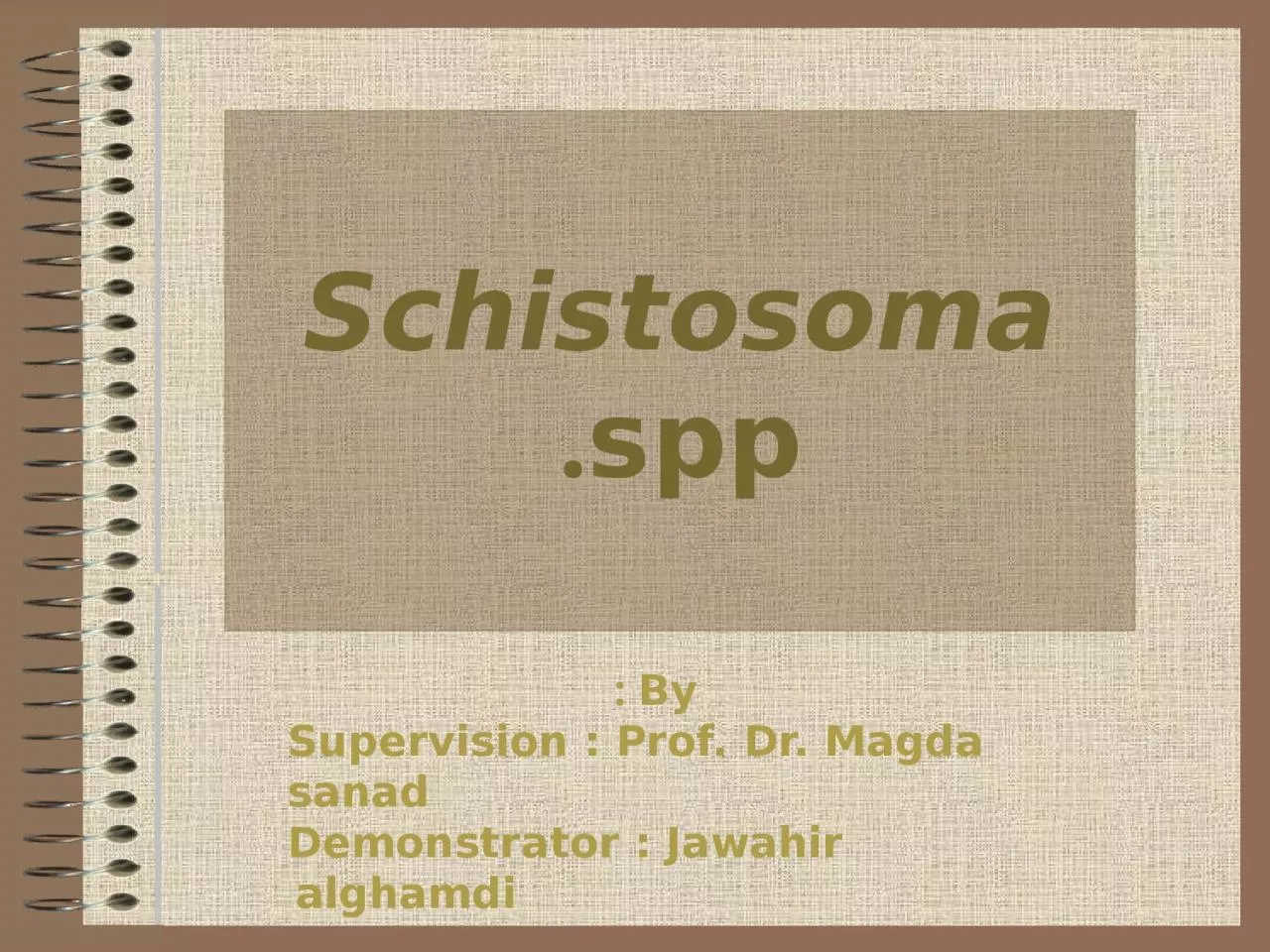 PPT-Schistosoma spp. By : Supervision : Prof. Dr.