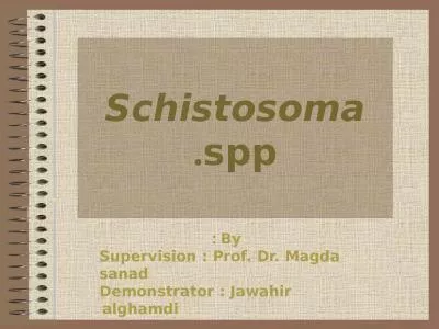 Schistosoma   spp. By : Supervision : Prof. Dr.