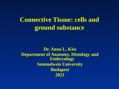 Connective   Tissue :  cells