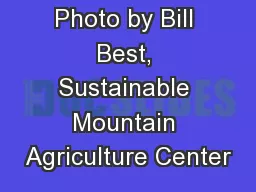 Photo by Bill Best, Sustainable Mountain Agriculture Center