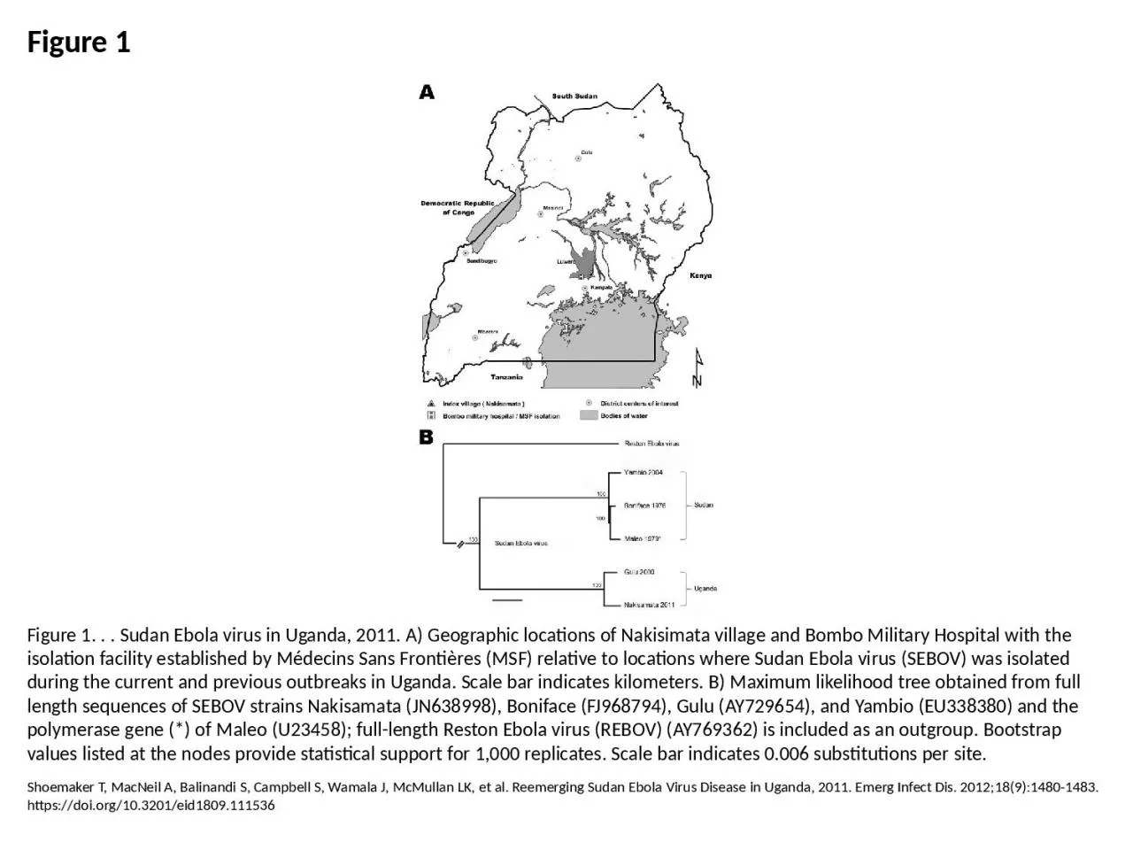 PPT-Figure 1 Figure 1. . . Sudan Ebola virus in Uganda, 2011. A) Geographic locations of Nakisimata