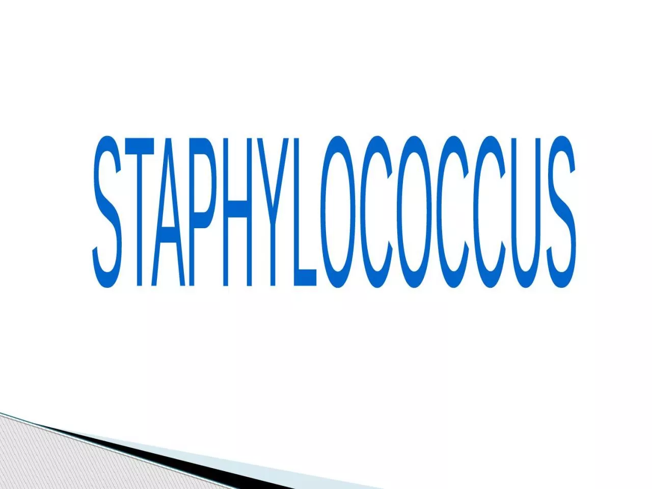 PPT-STAPHYLOCOCCUS Staphylococci are :