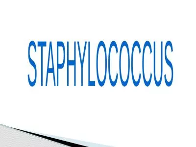 STAPHYLOCOCCUS Staphylococci are :