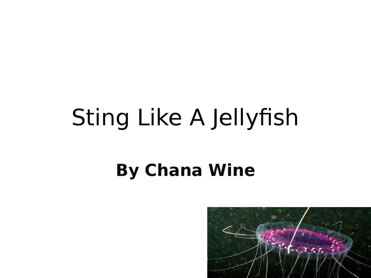 PPT-Sting Like A Jellyfish By Chana Wine