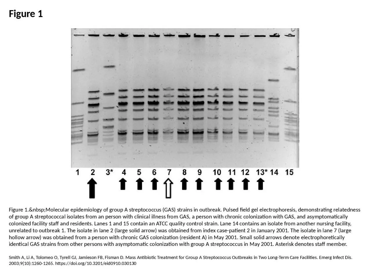 PPT-Figure 1 Figure 1.&nbsp;Molecular epidemiology of group A streptococcus (GAS) strains