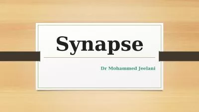 Synapse Dr Mohammed Jeelani