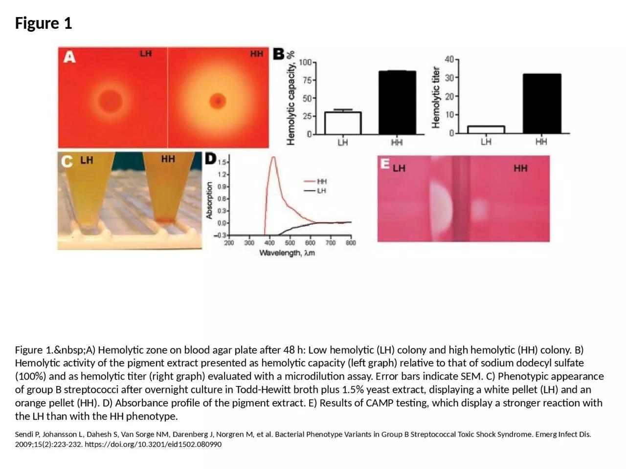 PPT-Figure 1 Figure 1.&nbsp;A) Hemolytic zone on blood agar plate after 48 h: Low hemolytic