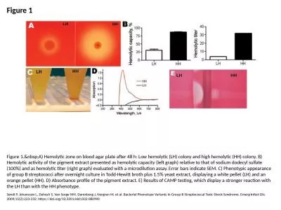 Figure 1 Figure 1.&nbsp;A) Hemolytic zone on blood agar plate after 48 h: Low hemolytic