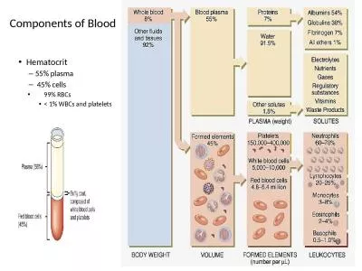 Components of Blood Hematocrit