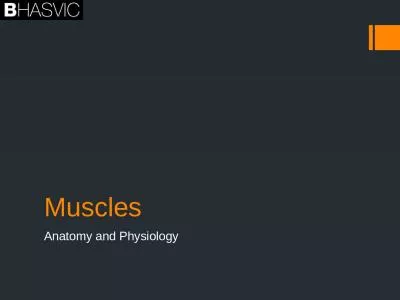 Muscles Anatomy and Physiology