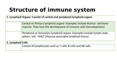 Structure of immune system