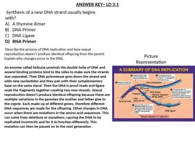 ANSWER KEY– LO 3.1  Synthesis of a new DNA strand usually begins with?