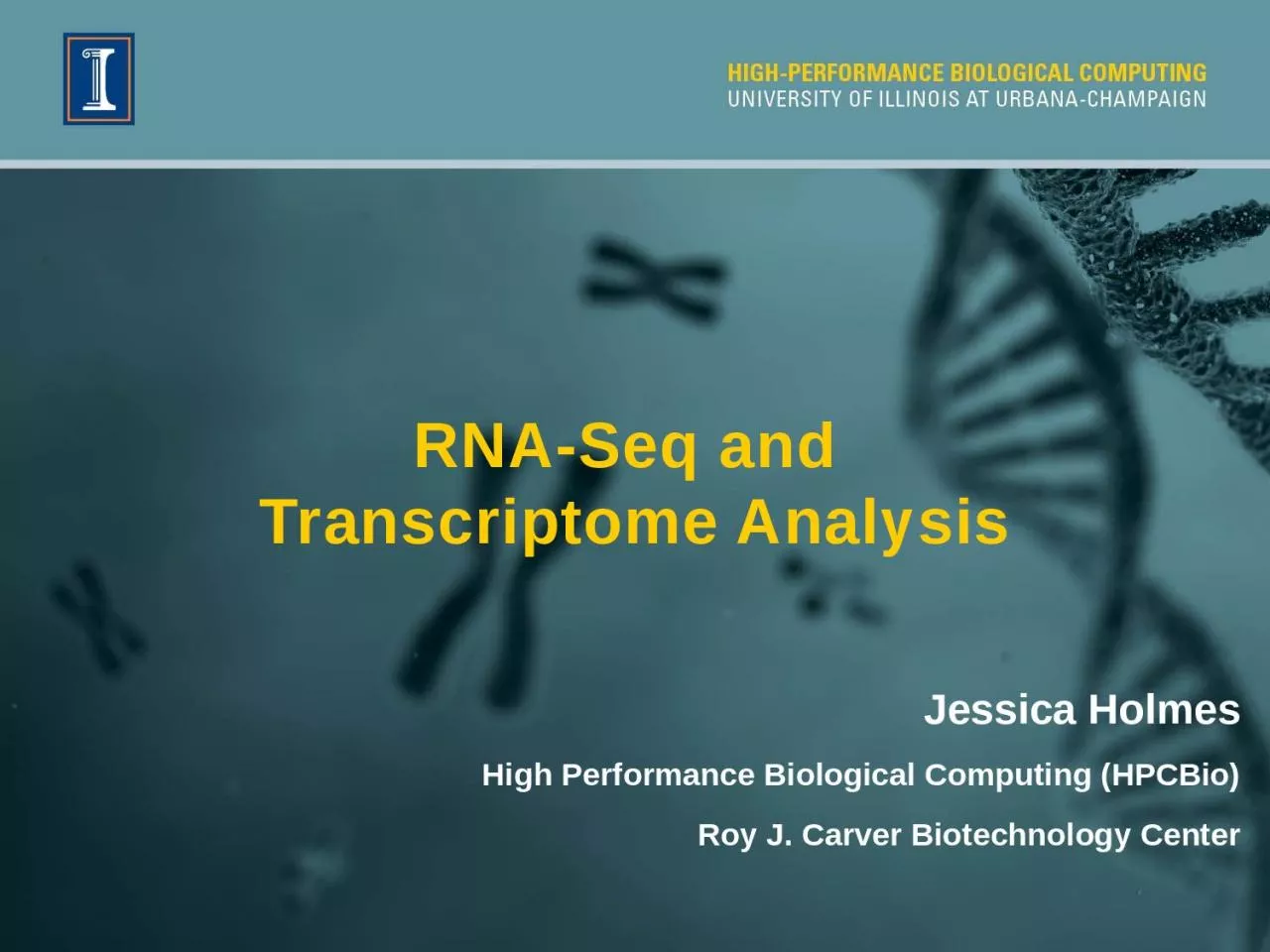 PPT-RNA-Seq and Transcriptome