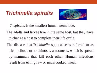 Trichinella   spiralis