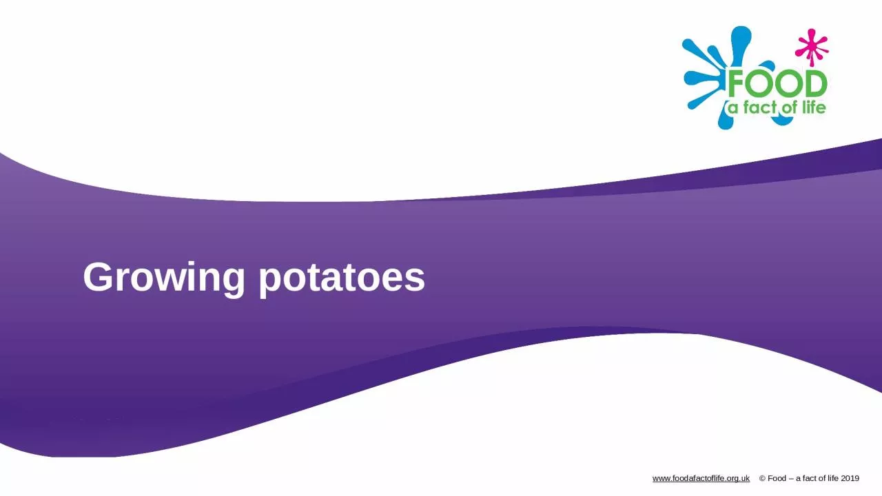 PPT-Growing potatoes Potatoes come from a plant